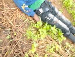 Alleged abducted Auchi Poly staff found dead in his farm